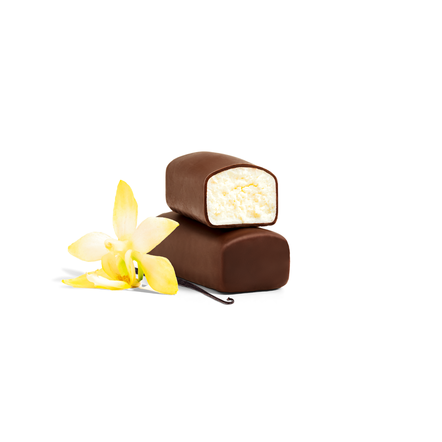 お徳用10個入りパック・オクターブ・ビターチョコチーズケーキ バニラ